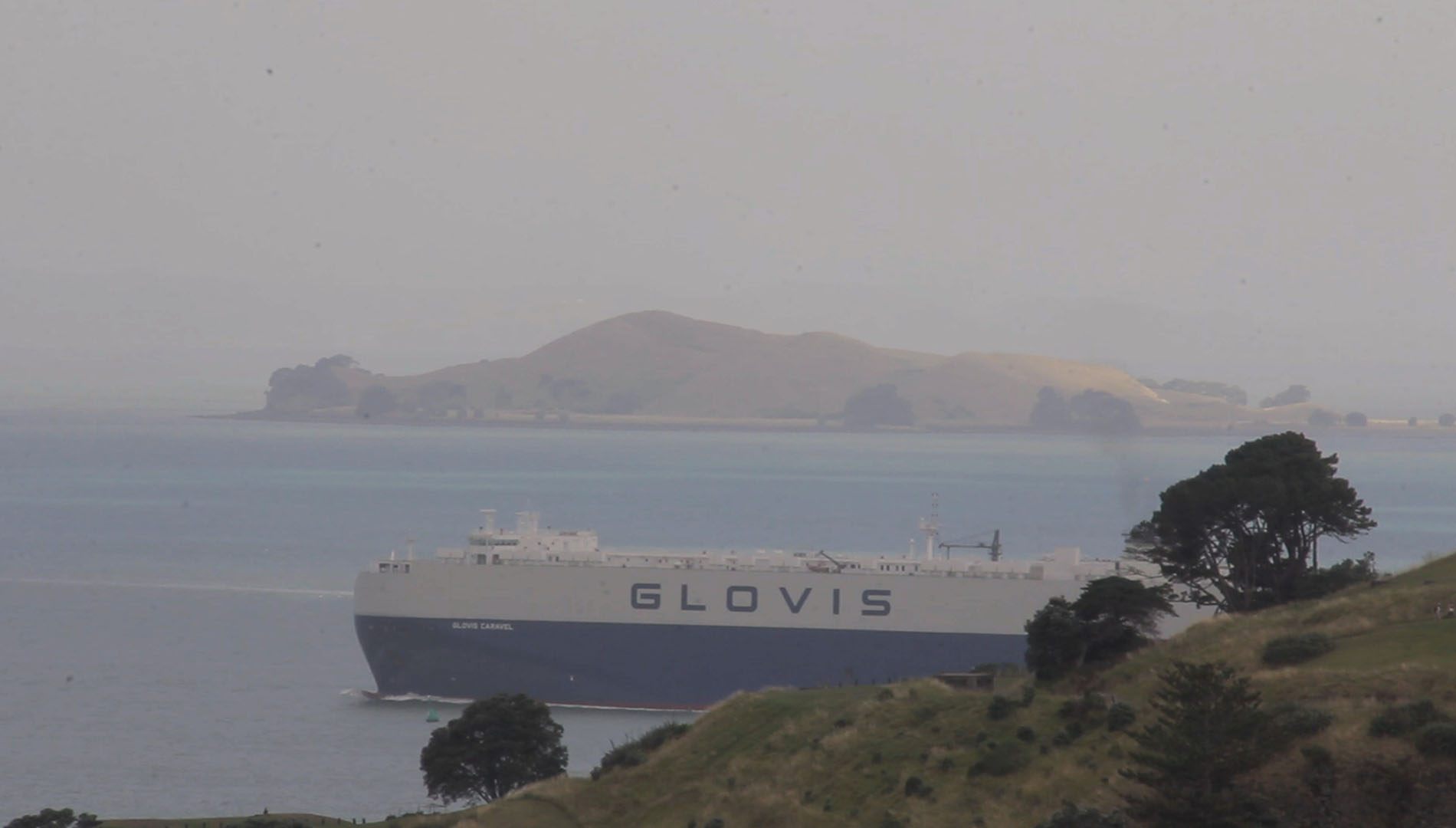 Glovis Caravel